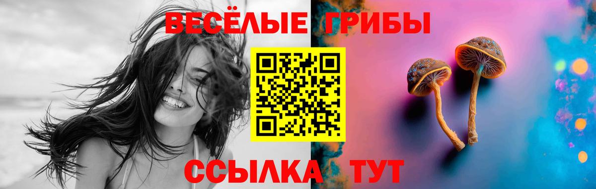Галлюциногенные грибы прущие грибы  Вход с VPN  Псилоцибиновые грибы Magic Shrooms  Изобильный 